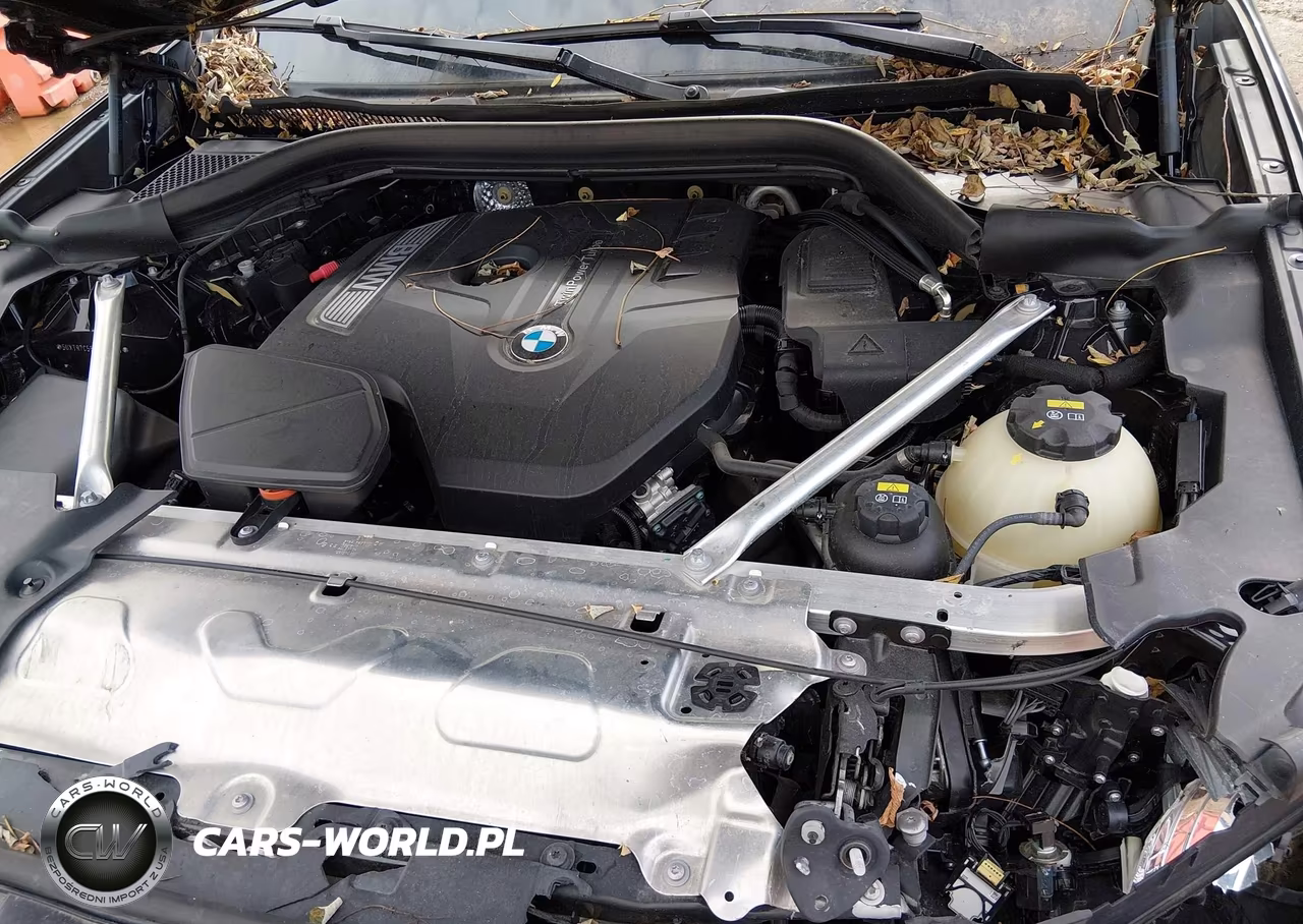 2019 BMW X3 Sdrive30I VIN:5UXTR7C55KLF35038 - 10