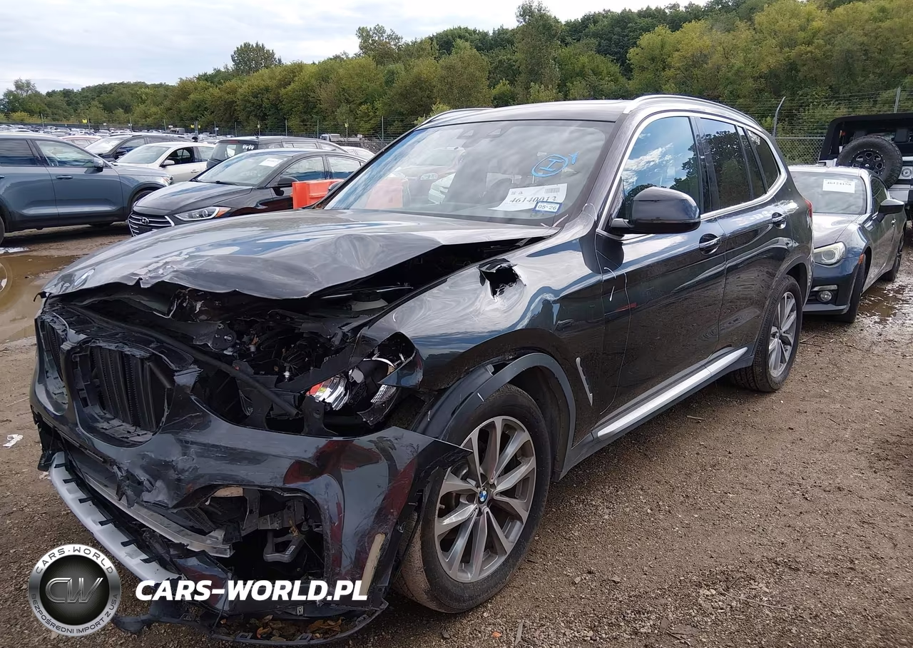 2019 BMW X3 Sdrive30I VIN:5UXTR7C55KLF35038 - 2
