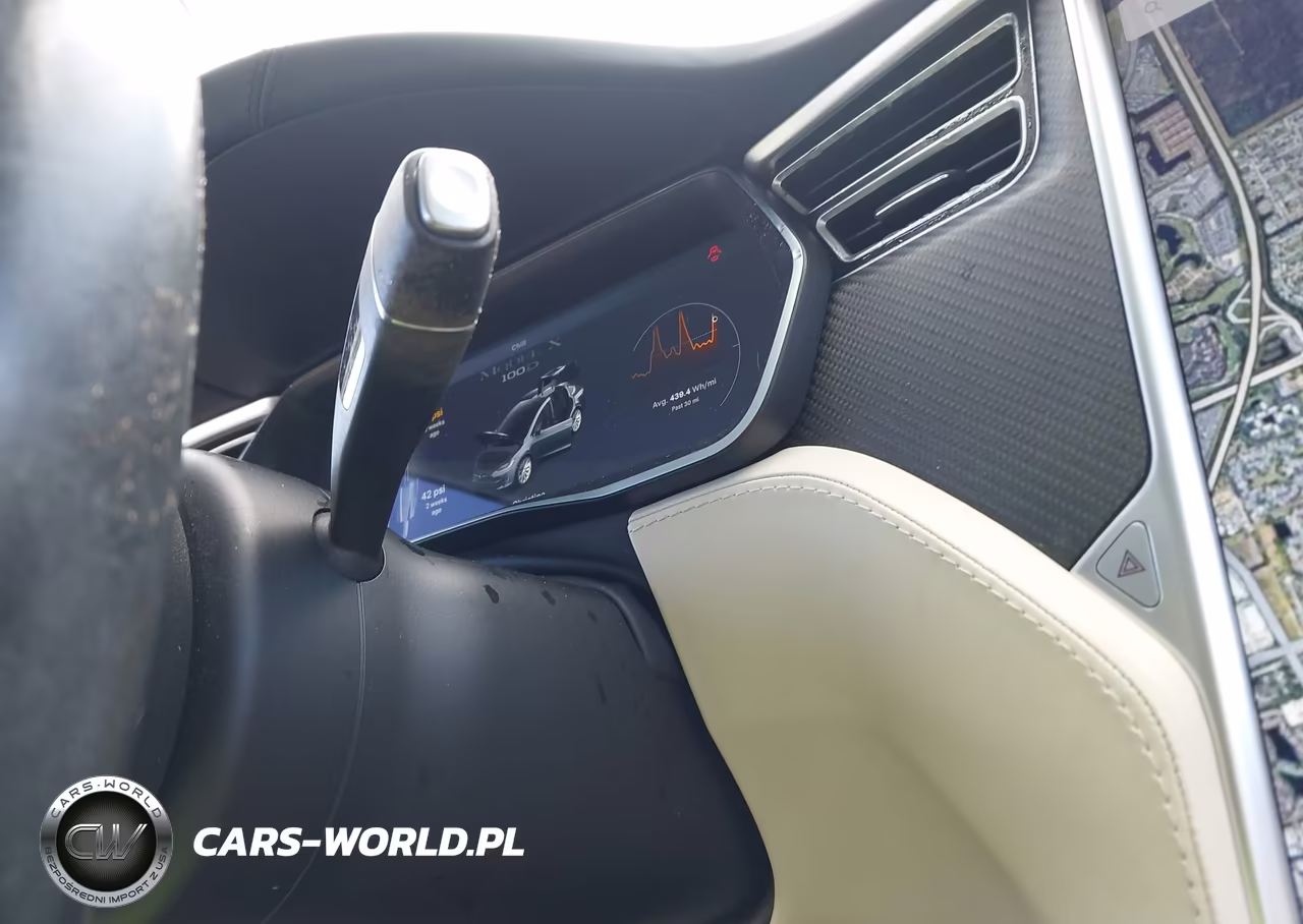 2018 Tesla Model X 100D-75D-P100D VIN:5YJXCDE26JF089826 - 10