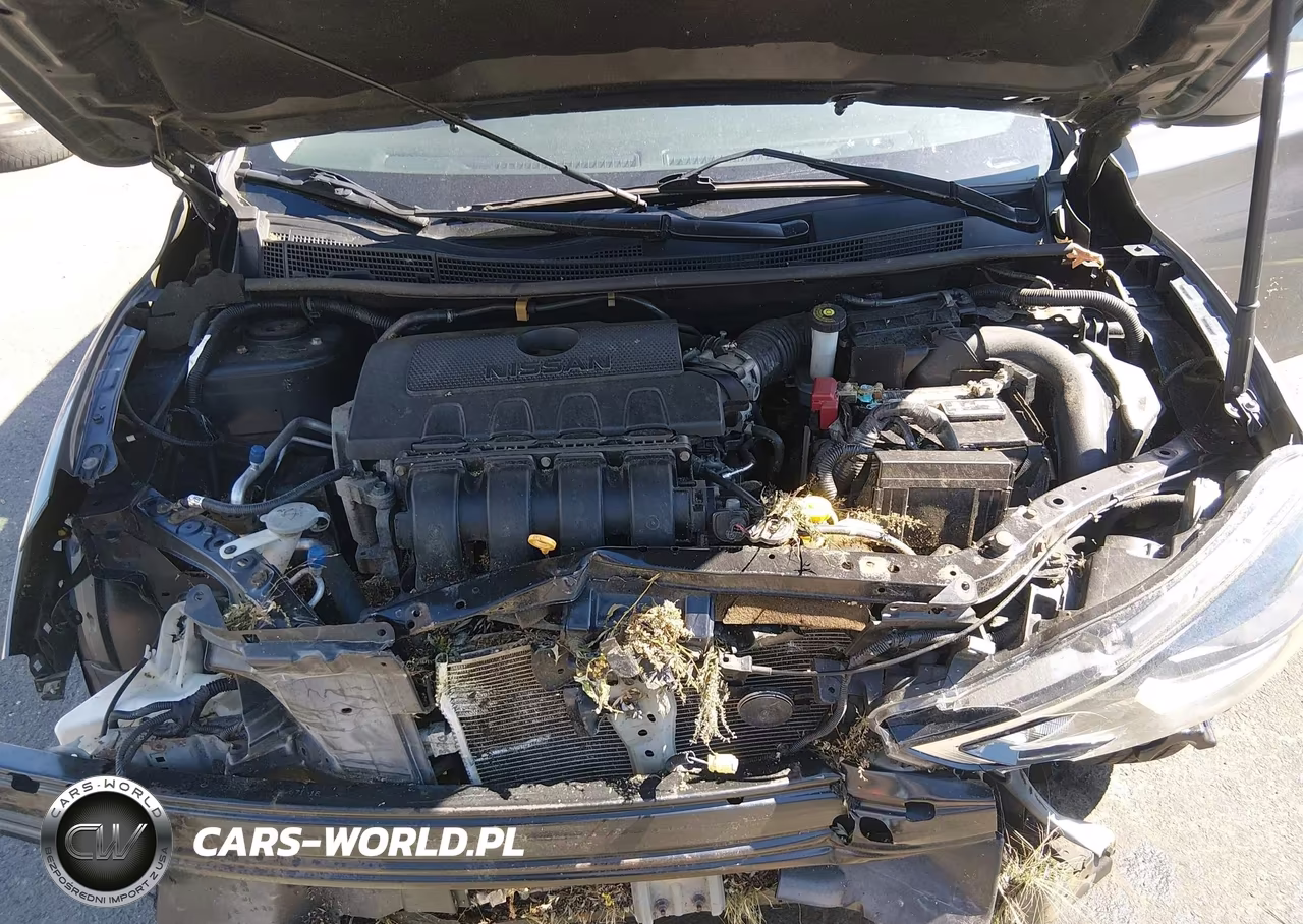 2016 Nissan Sentra Sv VIN:3N1AB7AP2GL655568 - 10