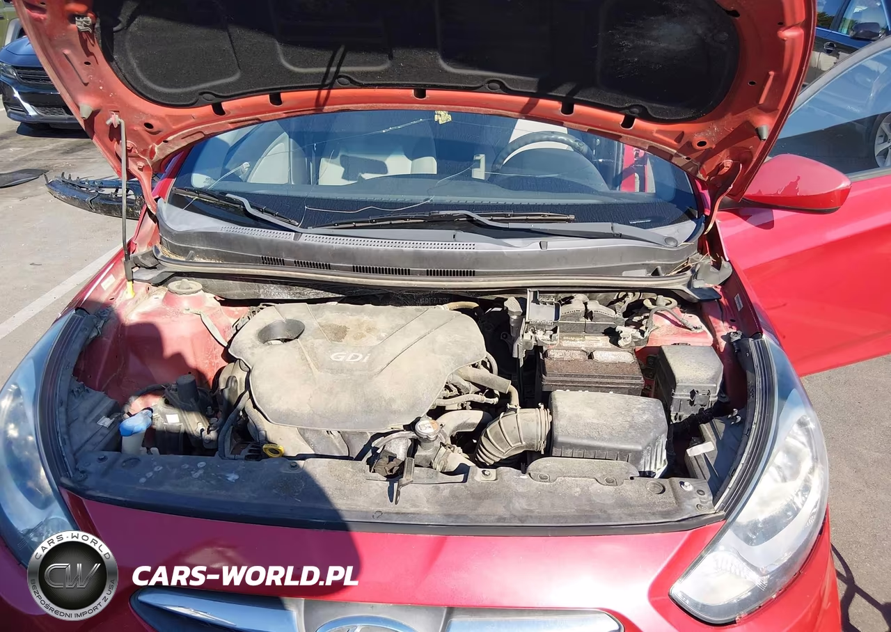 2013 Hyundai Accent Gs VIN:KMHCT5AEXDU118384 - 10