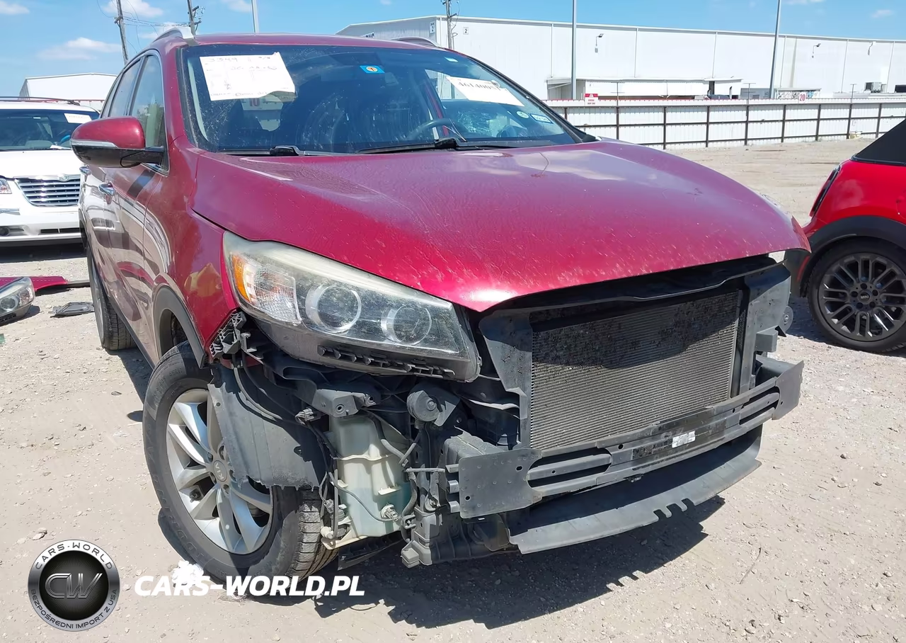 2017 Kia Sorento 3.3L Lx VIN:5XYPG4A52HG209337 - 20