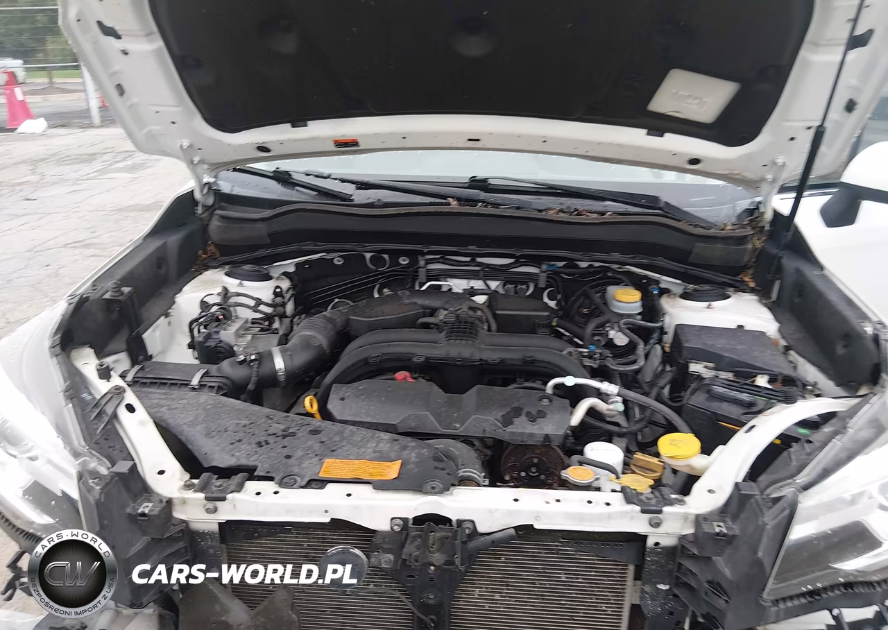 2018 Subaru Forester 2.5I Limited VIN:JF2SJARC1JH493877 - 10