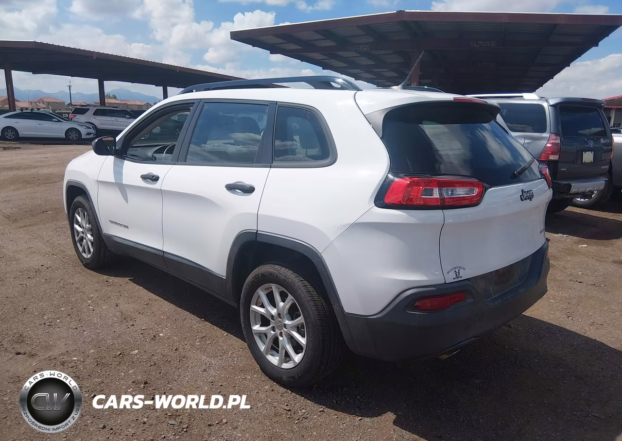 2016 Jeep Cherokee Sport VIN:1C4PJLAB1GW125822 - 3