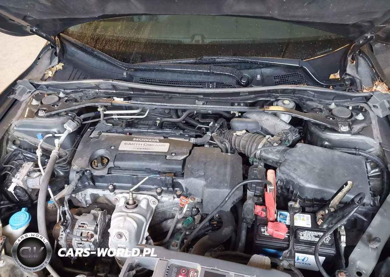 2013 Honda Accord Ex-L VIN:1HGCR2F83DA265217 - 10