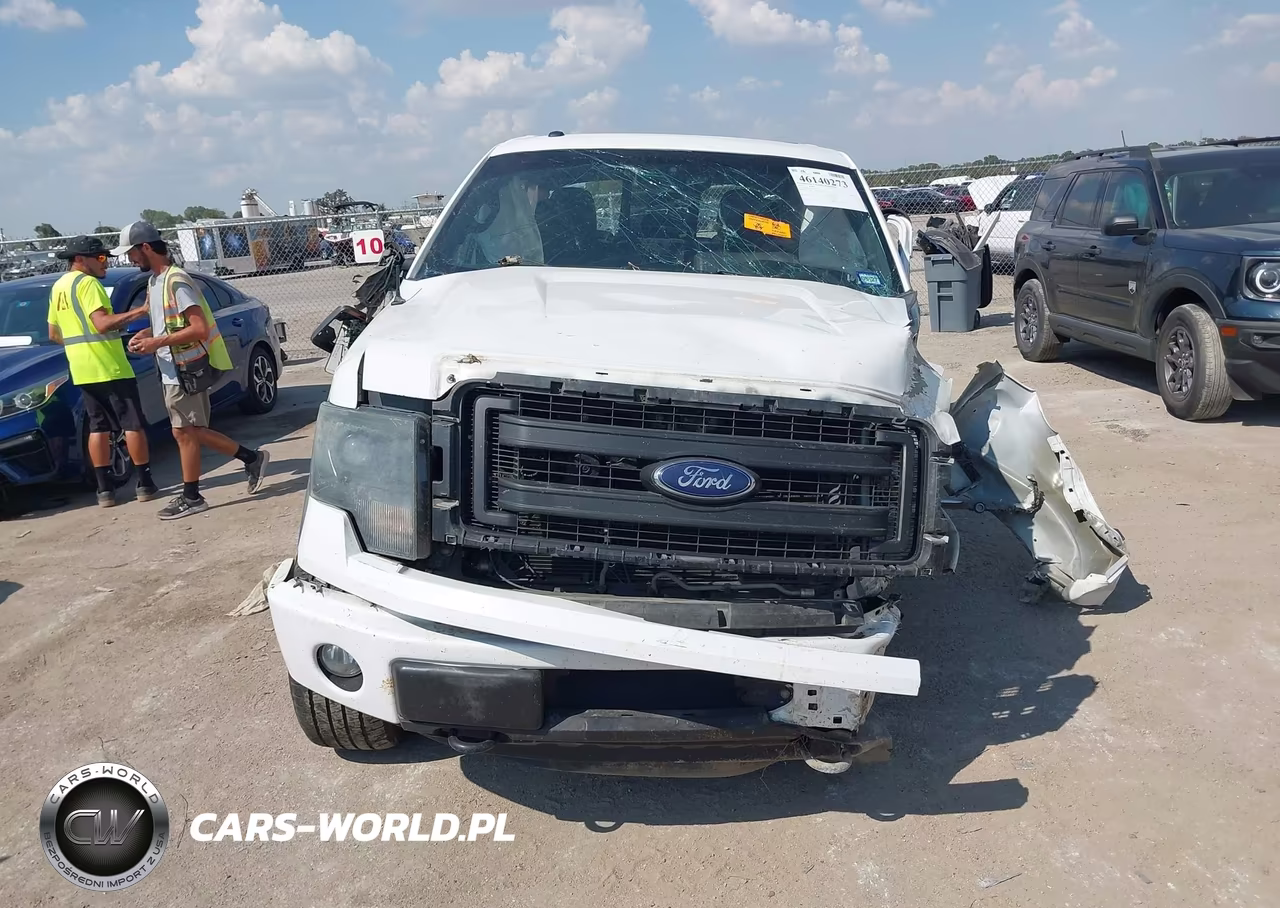 2014 Ford F-150 Fx4 VIN:1FTFW1EF3EFB19046 - 11