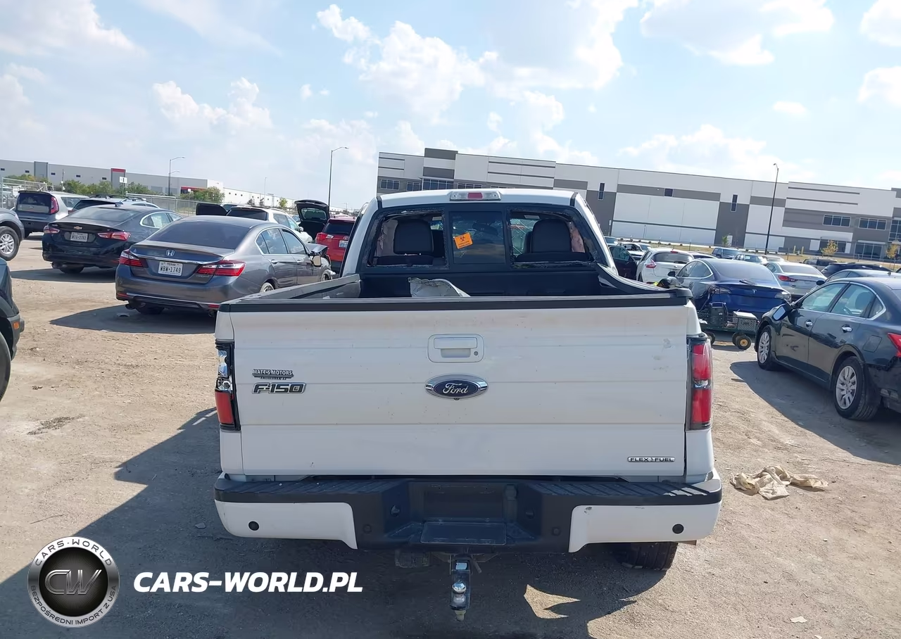 2014 Ford F-150 Fx4 VIN:1FTFW1EF3EFB19046 - 15