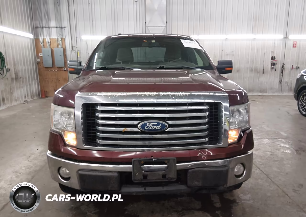 2010 Ford F-150 Fx4-Lariat-Xl-Xlt VIN:1FTFX1EV5AKE55190 - 12