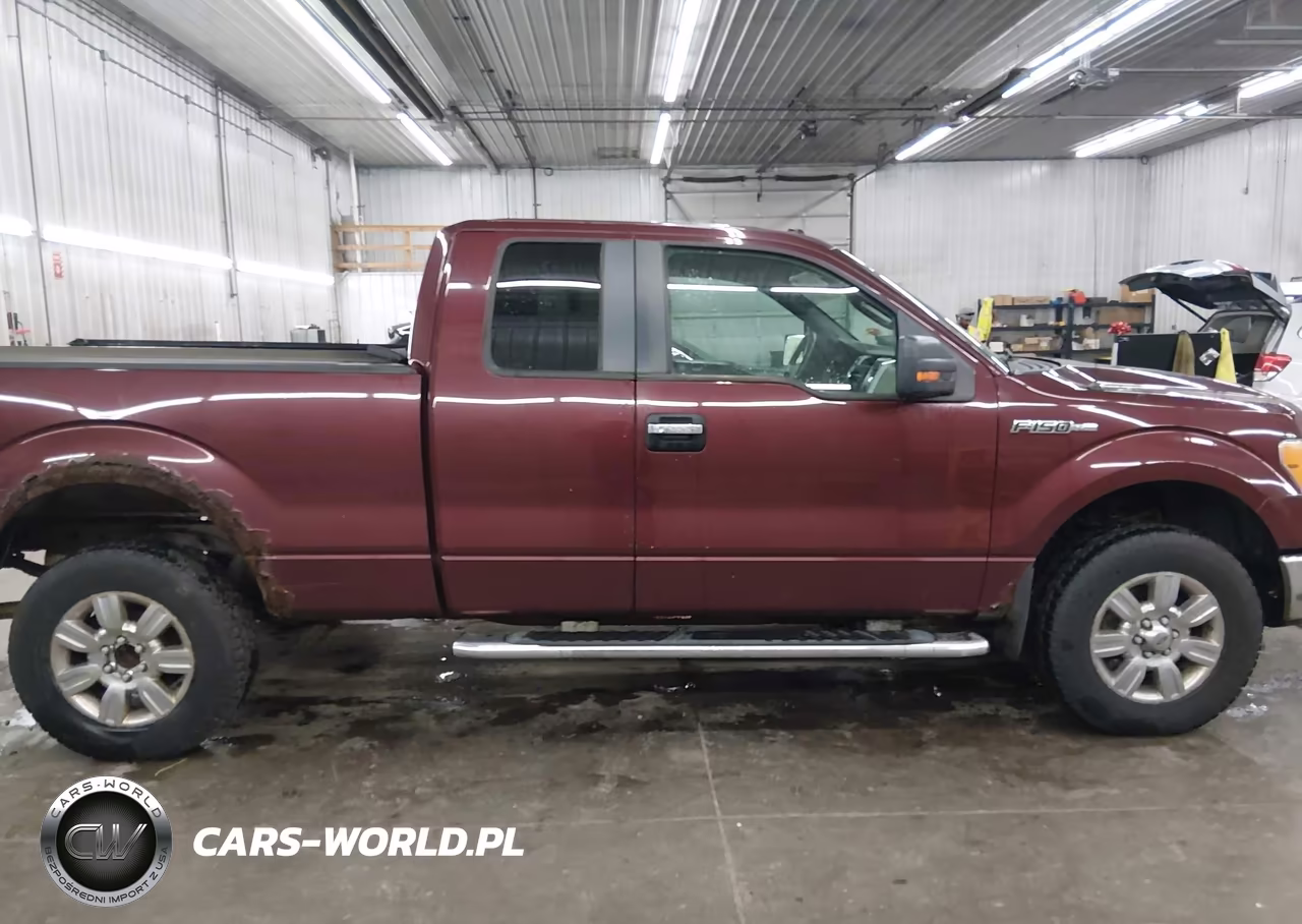 2010 Ford F-150 Fx4-Lariat-Xl-Xlt VIN:1FTFX1EV5AKE55190 - 13