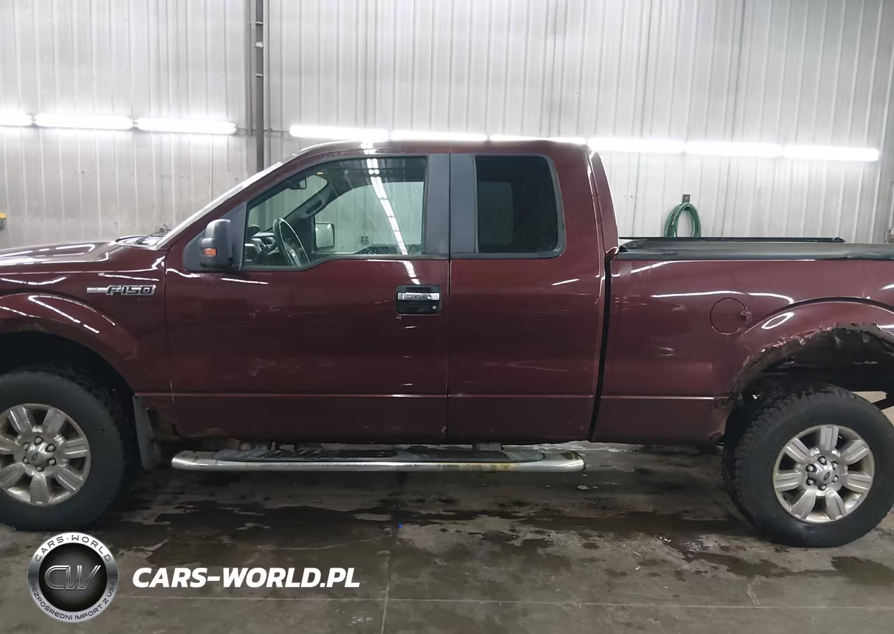 2010 Ford F-150 Fx4-Lariat-Xl-Xlt VIN:1FTFX1EV5AKE55190 - 14