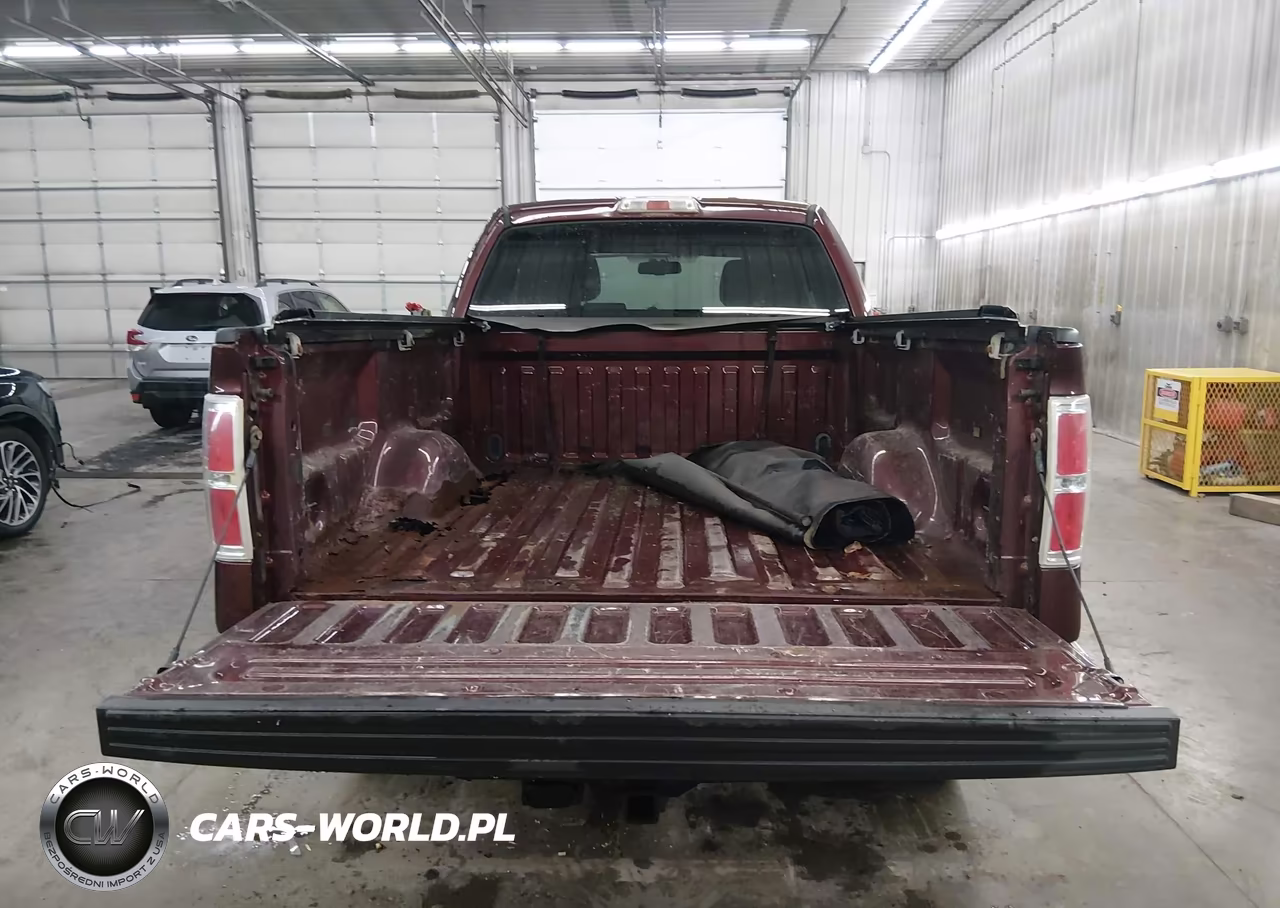2010 Ford F-150 Fx4-Lariat-Xl-Xlt VIN:1FTFX1EV5AKE55190 - 16