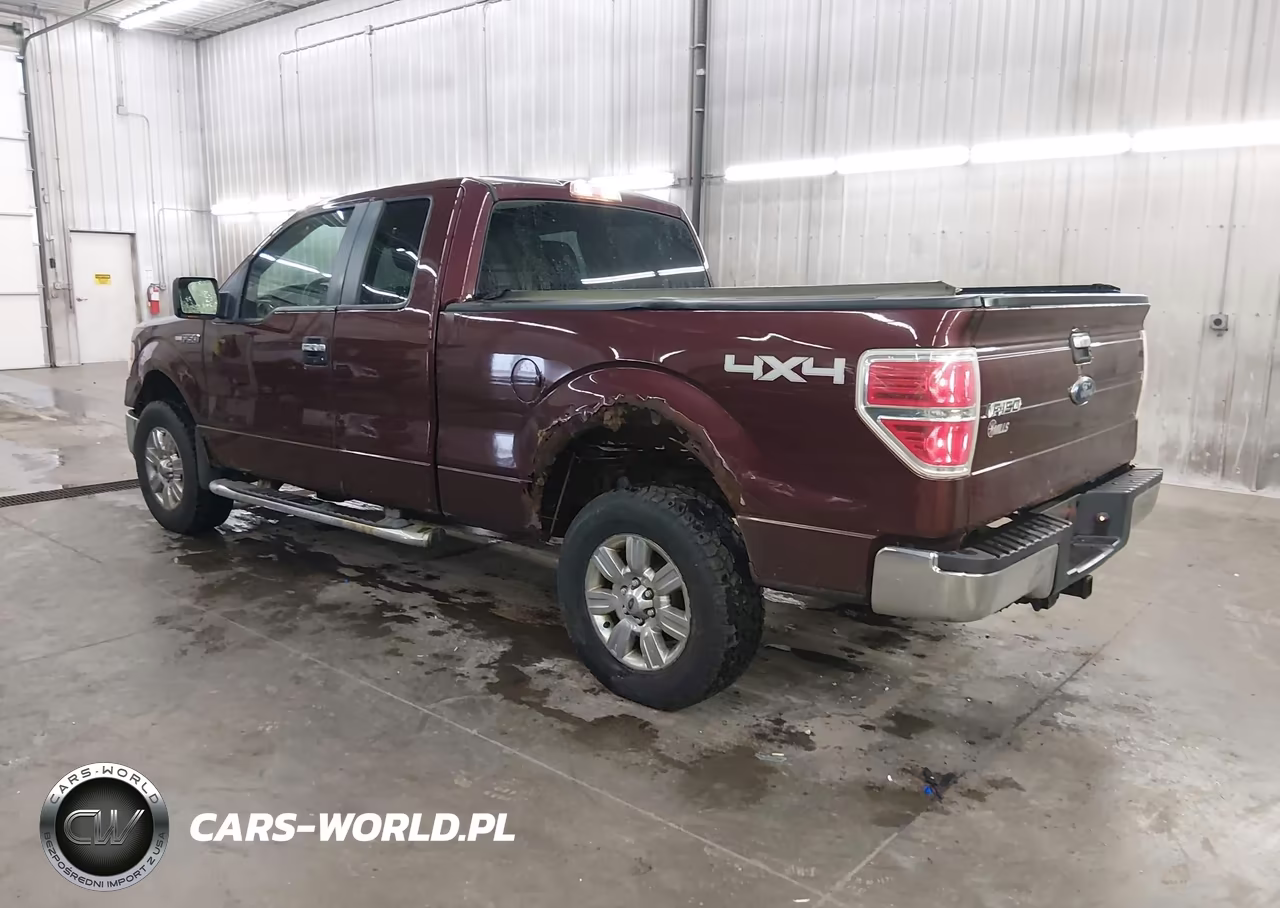 2010 Ford F-150 Fx4-Lariat-Xl-Xlt VIN:1FTFX1EV5AKE55190 - 3