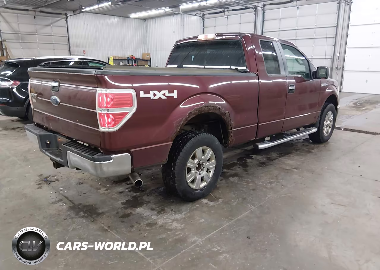 2010 Ford F-150 Fx4-Lariat-Xl-Xlt VIN:1FTFX1EV5AKE55190 - 4