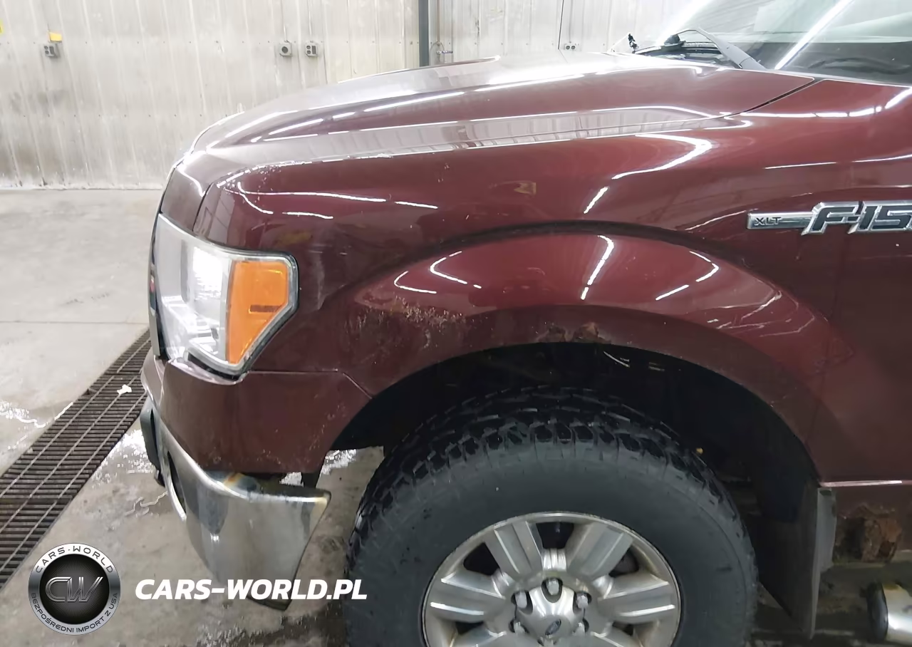 2010 Ford F-150 Fx4-Lariat-Xl-Xlt VIN:1FTFX1EV5AKE55190 - 6