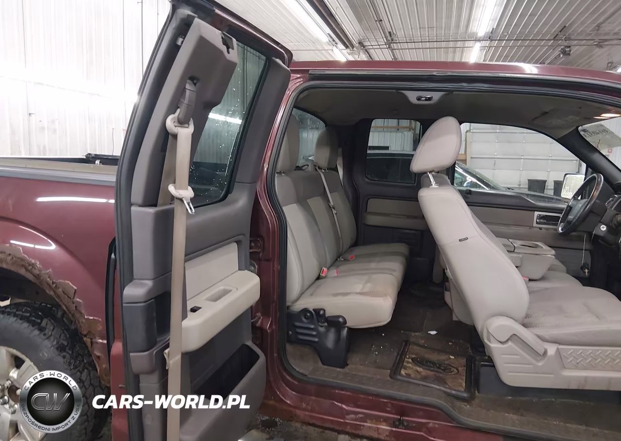 2010 Ford F-150 Fx4-Lariat-Xl-Xlt VIN:1FTFX1EV5AKE55190 - 8