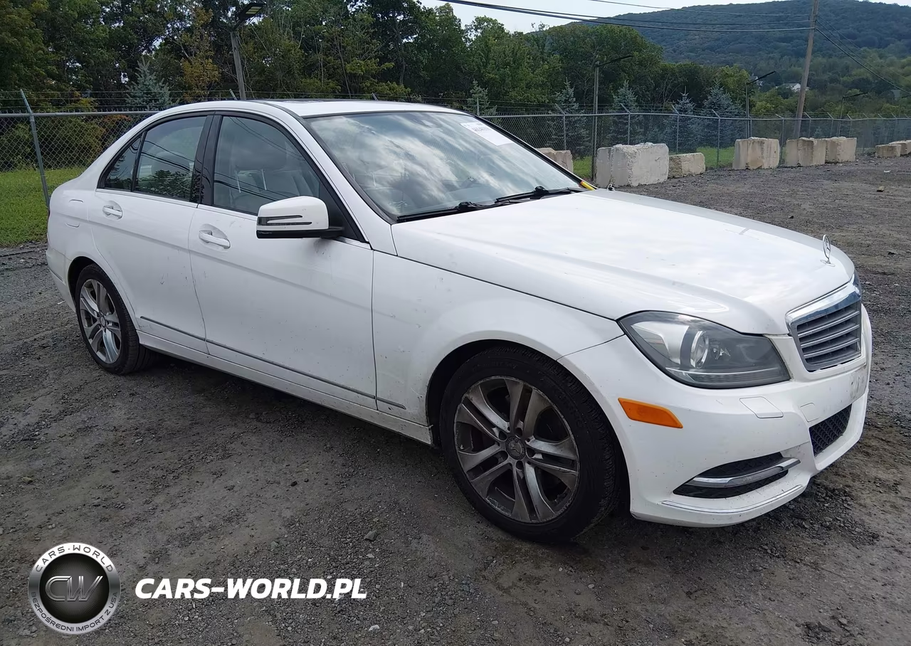 2013 Mercedes-Benz C 300 Luxury 4Matic VIN:WDDGF8AB8DR247608 - 1