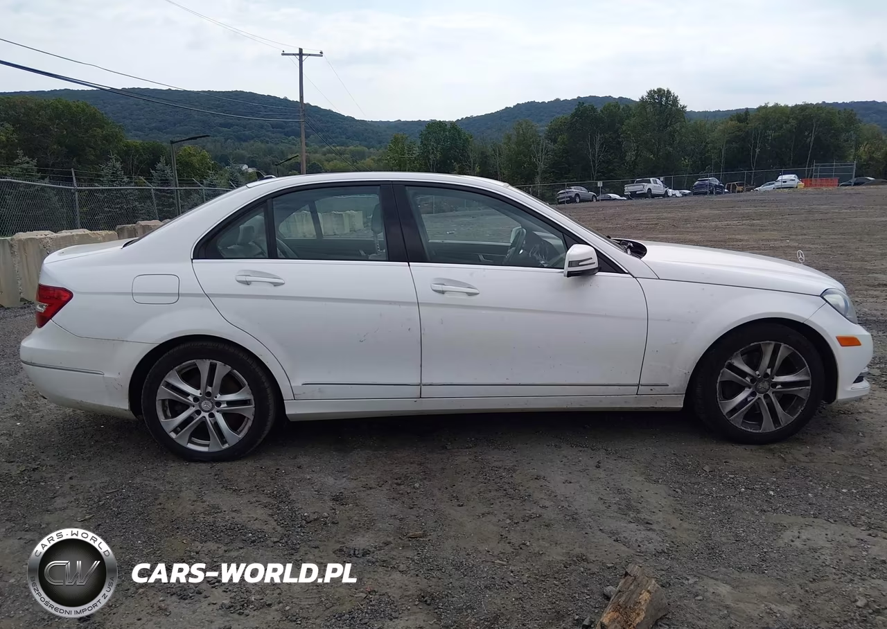 2013 Mercedes-Benz C 300 Luxury 4Matic VIN:WDDGF8AB8DR247608 - 14
