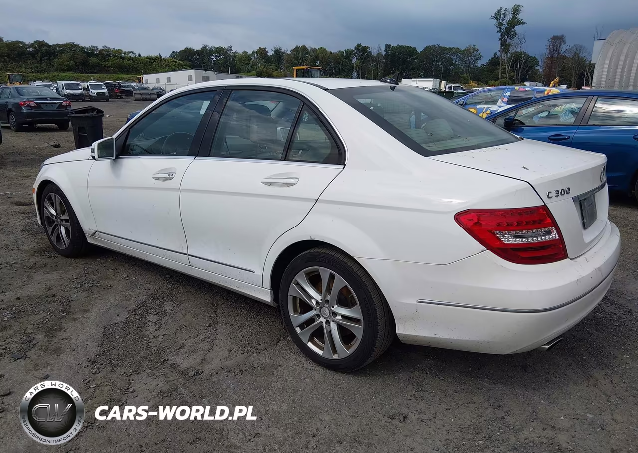 2013 Mercedes-Benz C 300 Luxury 4Matic VIN:WDDGF8AB8DR247608 - 3