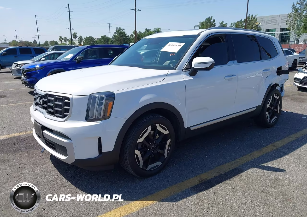 2024 Kia Telluride S VIN:5XYP64GC5RG541699 - 2