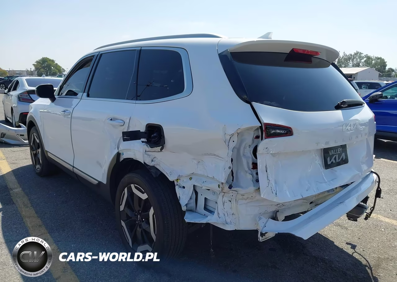 2024 Kia Telluride S VIN:5XYP64GC5RG541699 - 6