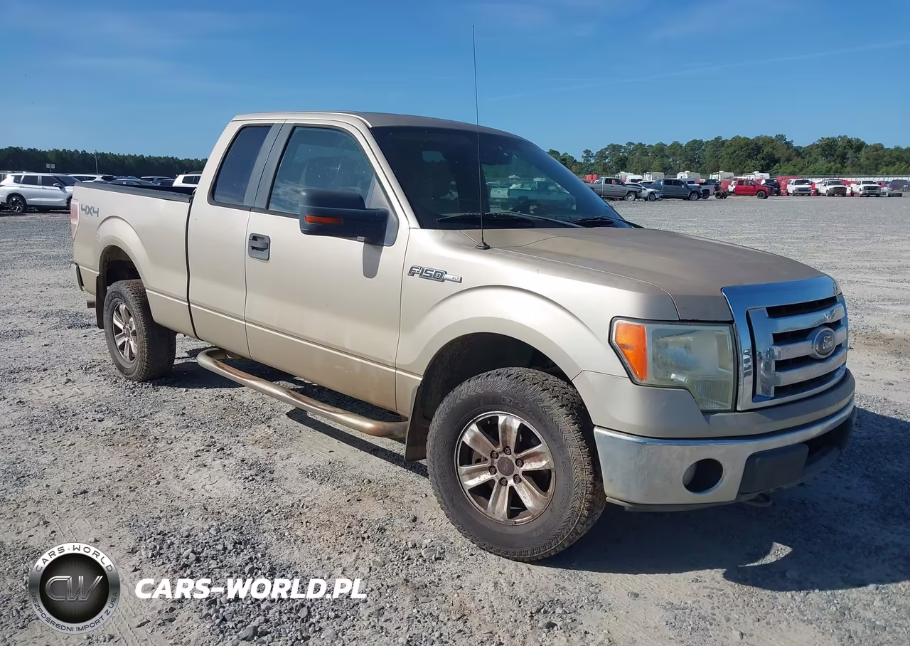 2009 Ford F-150 Stx-Xl-Xlt