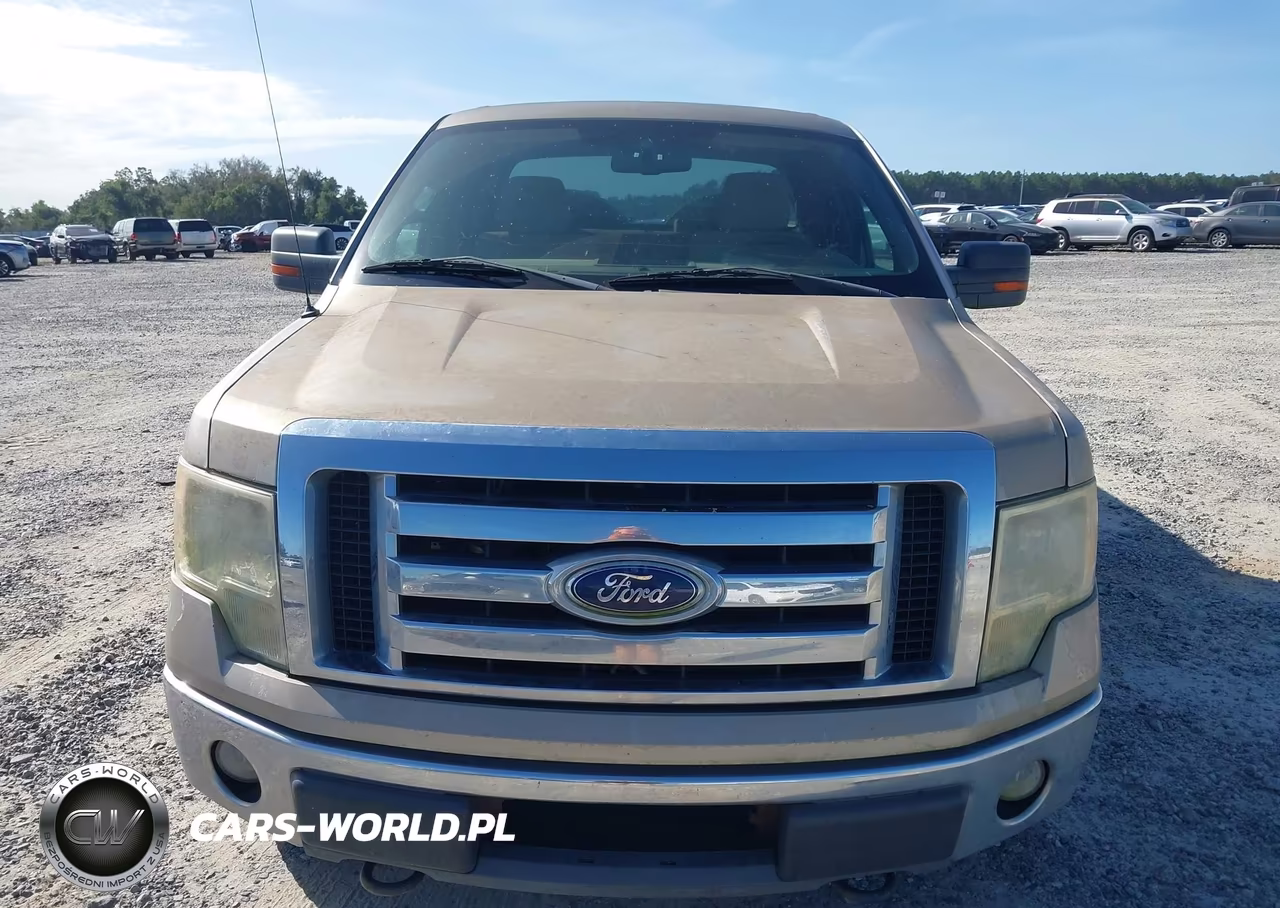 2009 Ford F-150 Stx-Xl-Xlt VIN:1FTRX14889FA97032 - 12