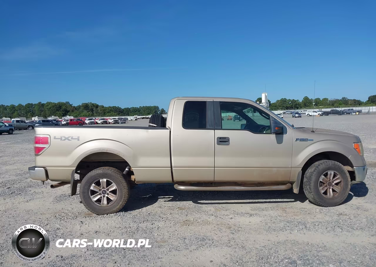2009 Ford F-150 Stx-Xl-Xlt VIN:1FTRX14889FA97032 - 13