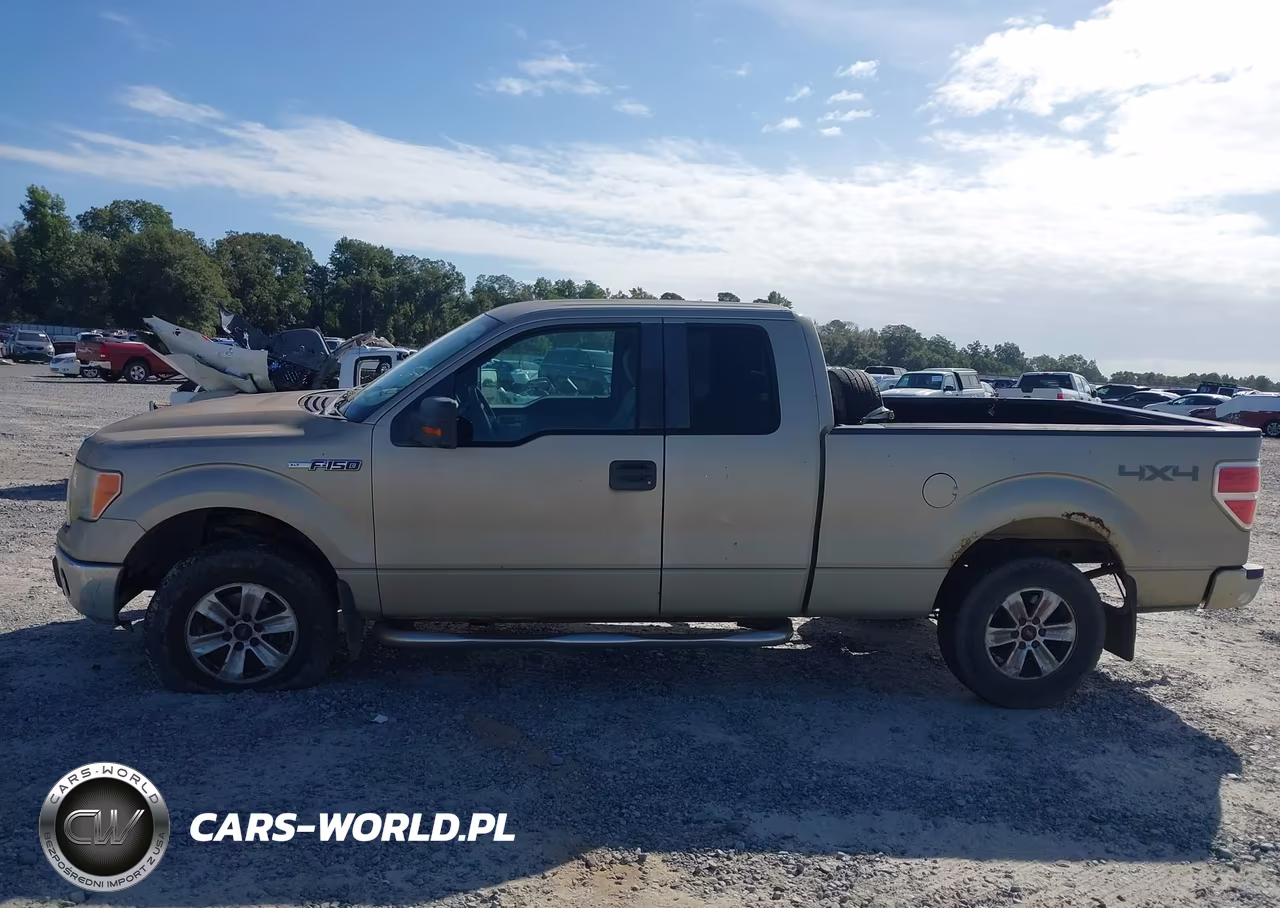 2009 Ford F-150 Stx-Xl-Xlt VIN:1FTRX14889FA97032 - 14