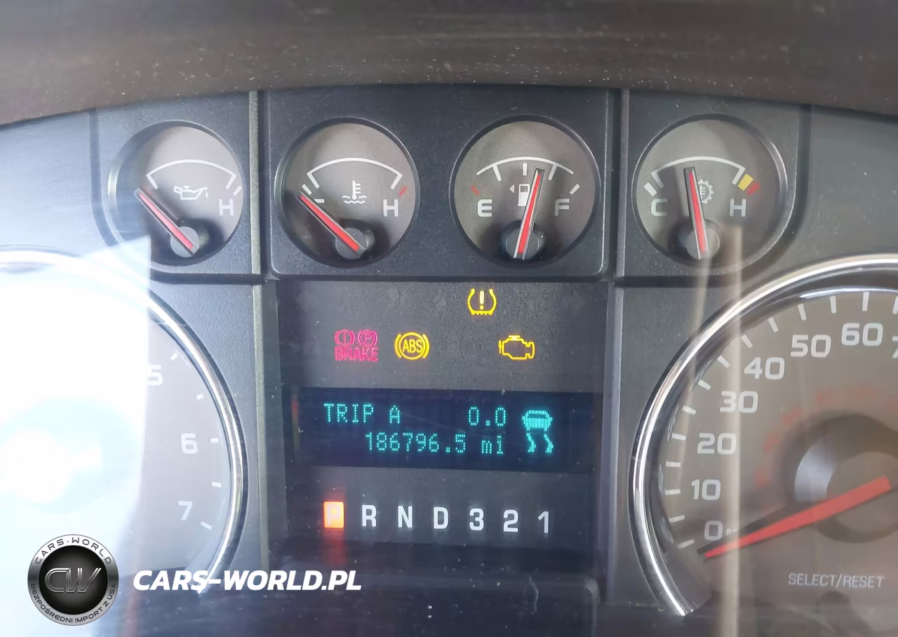 2009 Ford F-150 Stx-Xl-Xlt VIN:1FTRX14889FA97032 - 15