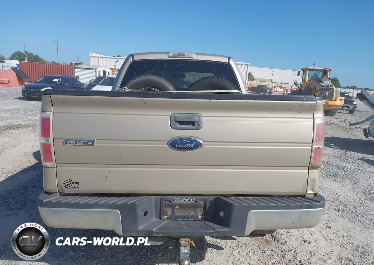 2009 Ford F-150 Stx-Xl-Xlt VIN:1FTRX14889FA97032 - 16