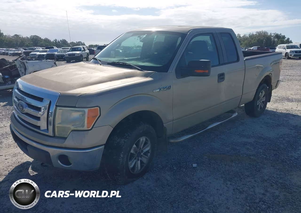 2009 Ford F-150 Stx-Xl-Xlt VIN:1FTRX14889FA97032 - 2