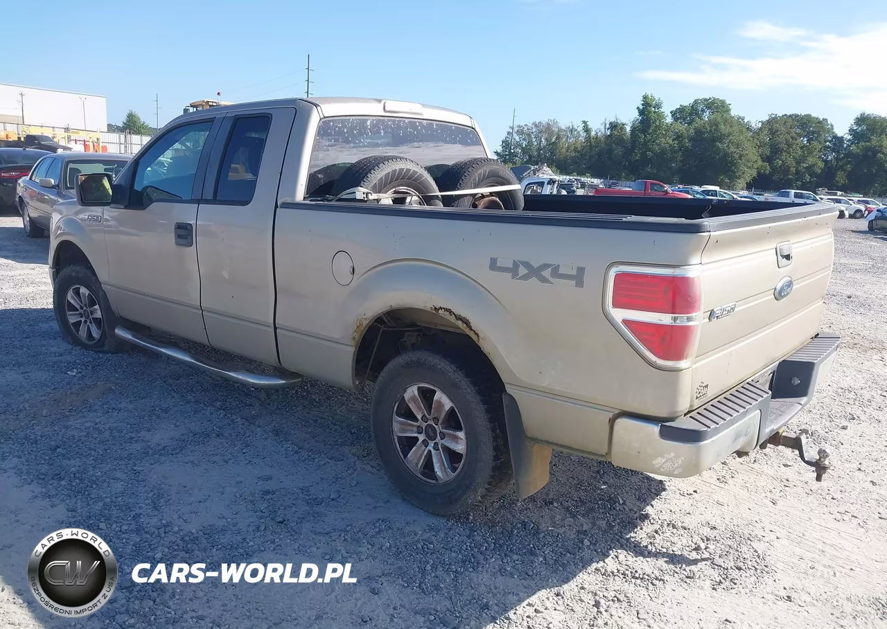 2009 Ford F-150 Stx-Xl-Xlt VIN:1FTRX14889FA97032 - 3