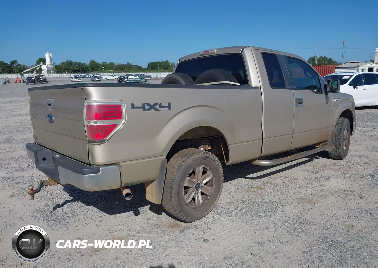 2009 Ford F-150 Stx-Xl-Xlt VIN:1FTRX14889FA97032 - 4