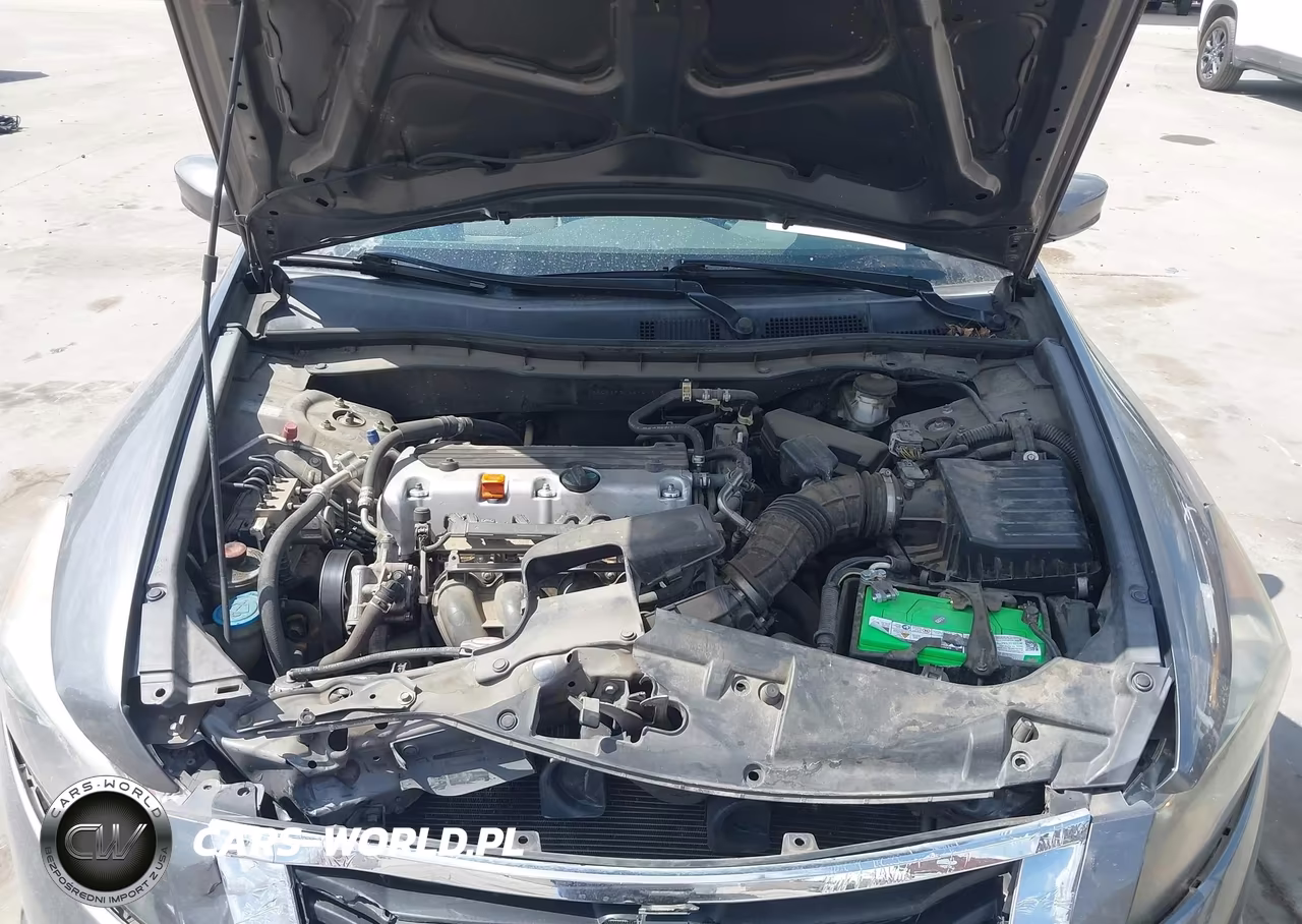 2010 Honda Accord 2.4 Lx VIN:1HGCP2F3XAA141919 - 10