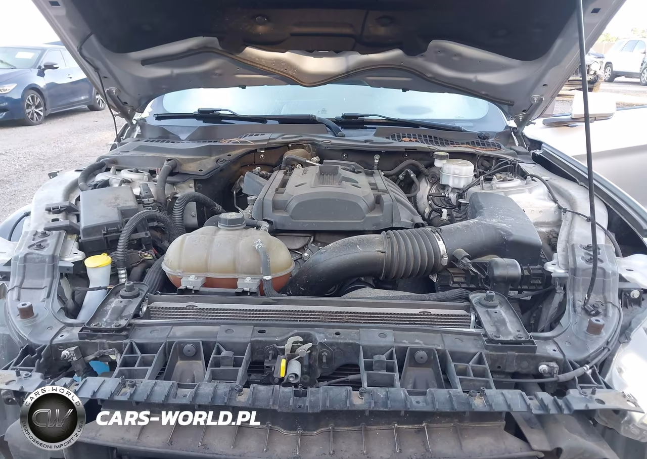 2019 Ford Mustang Ecoboost VIN:1FA6P8TH0K5144083 - 10
