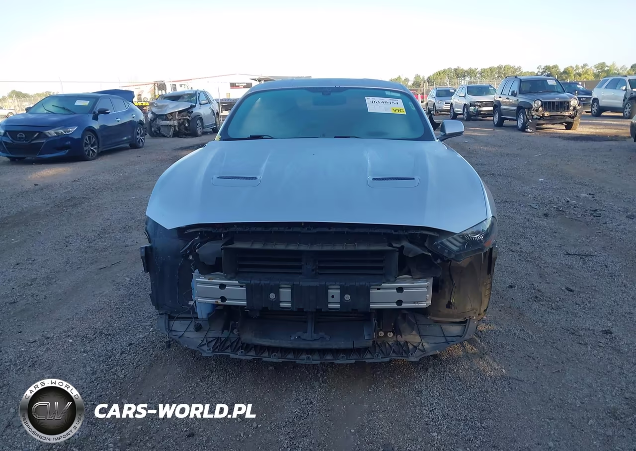 2019 Ford Mustang Ecoboost VIN:1FA6P8TH0K5144083 - 13