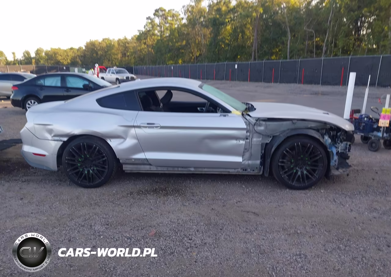 2019 Ford Mustang Ecoboost VIN:1FA6P8TH0K5144083 - 14