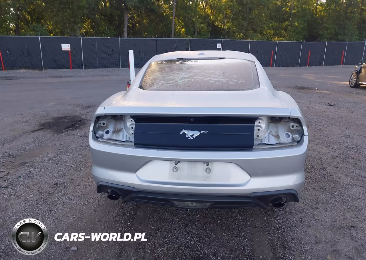 2019 Ford Mustang Ecoboost VIN:1FA6P8TH0K5144083 - 17