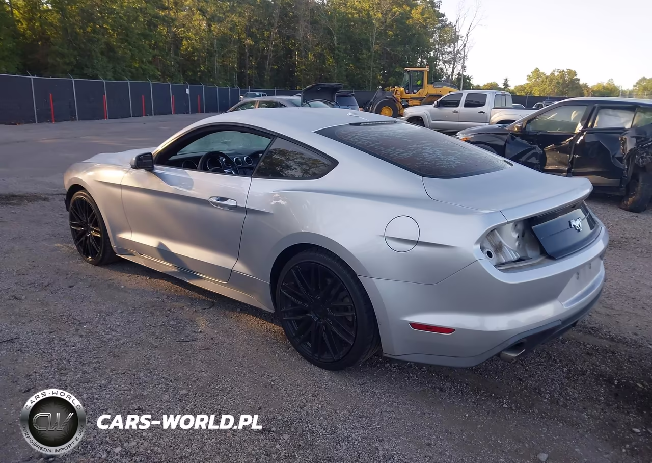 2019 Ford Mustang Ecoboost VIN:1FA6P8TH0K5144083 - 3