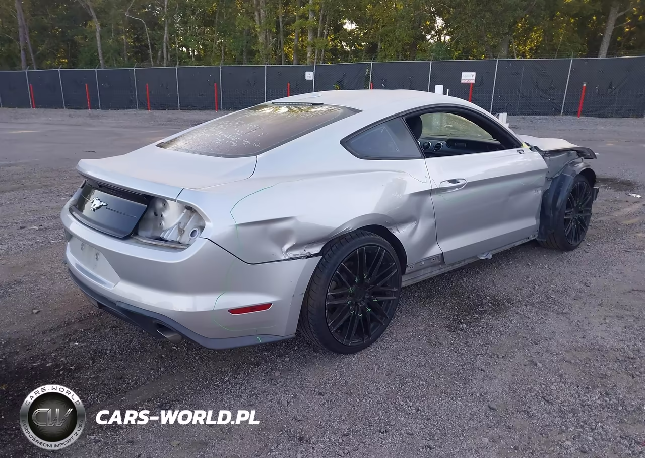 2019 Ford Mustang Ecoboost VIN:1FA6P8TH0K5144083 - 4