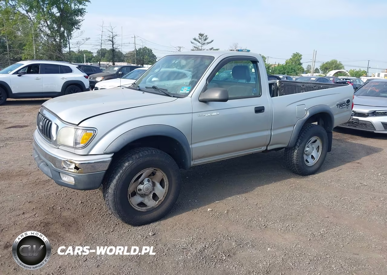 2004 Toyota Tacoma VIN:5TEPM62N14Z447392 - 2