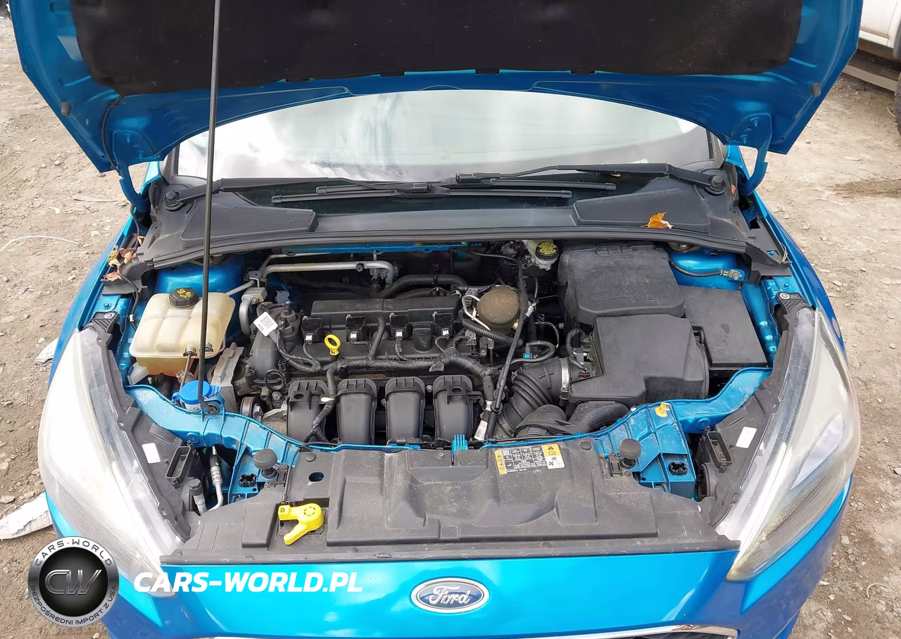2016 Ford Focus Se VIN:1FADP3F2XGL223524 - 10