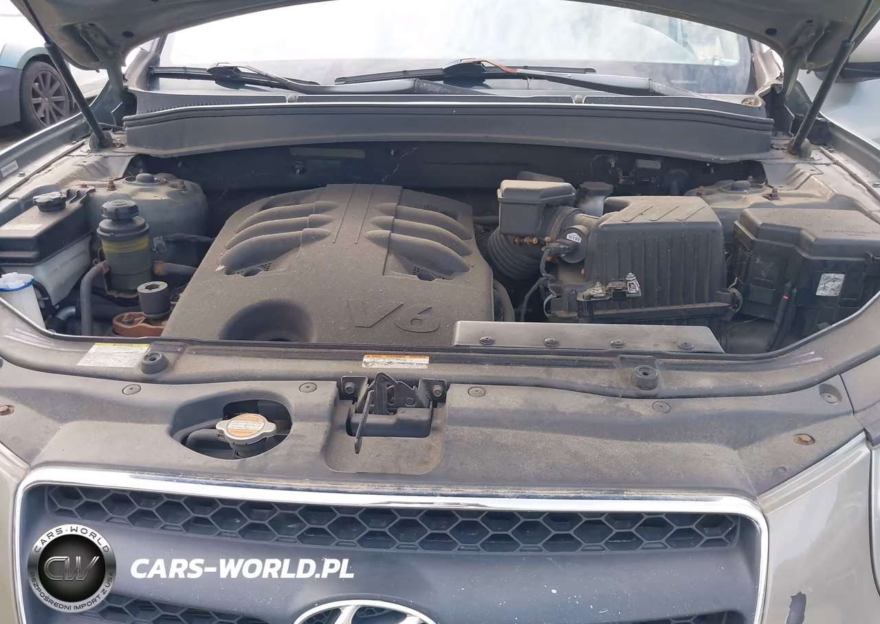 2008 Hyundai Santa Fe Limited-Se VIN:5NMSH73E58H184641 - 10