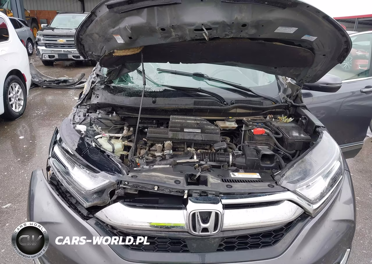 2017 Honda Cr-V Touring VIN:2HKRW2H9XHH670805 - 10