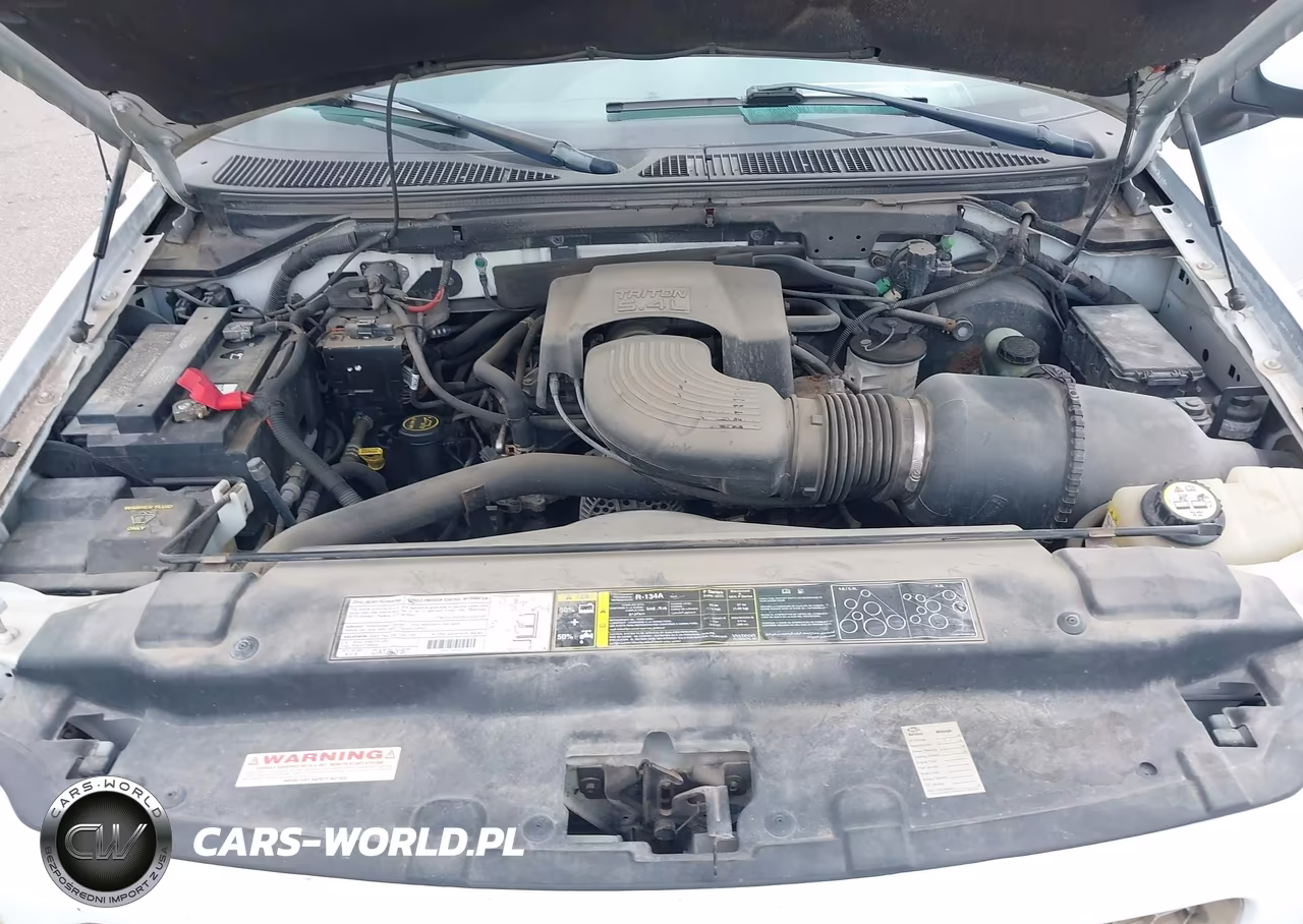 2003 Ford F-150 Lariat-Xlt VIN:1FTRW08LX3KD84320 - 10
