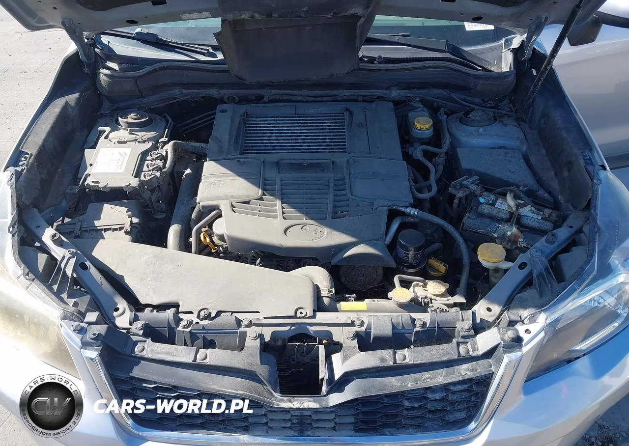 2014 Subaru Forester 2.0Xt Premium VIN:JF2SJGDC3EH430974 - 10