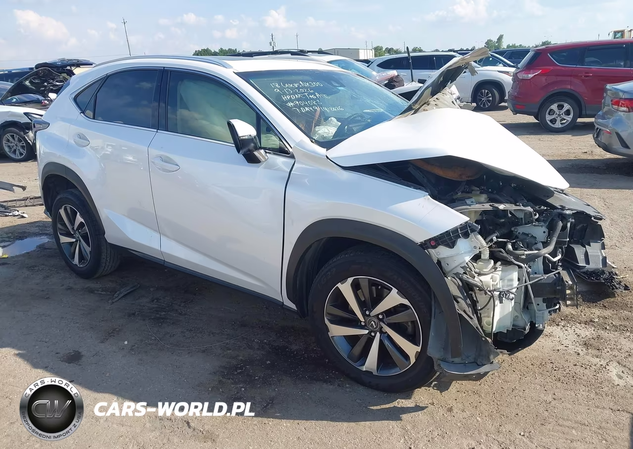 2018 Lexus Nx 300 VIN:JTJYARBZ4J2102226 - 1