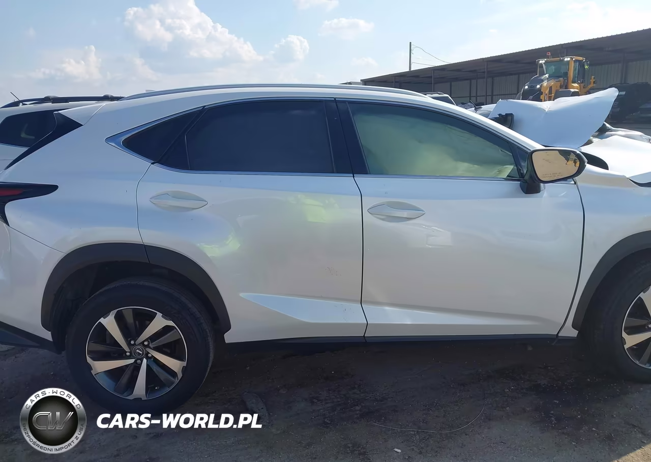 2018 Lexus Nx 300 VIN:JTJYARBZ4J2102226 - 13
