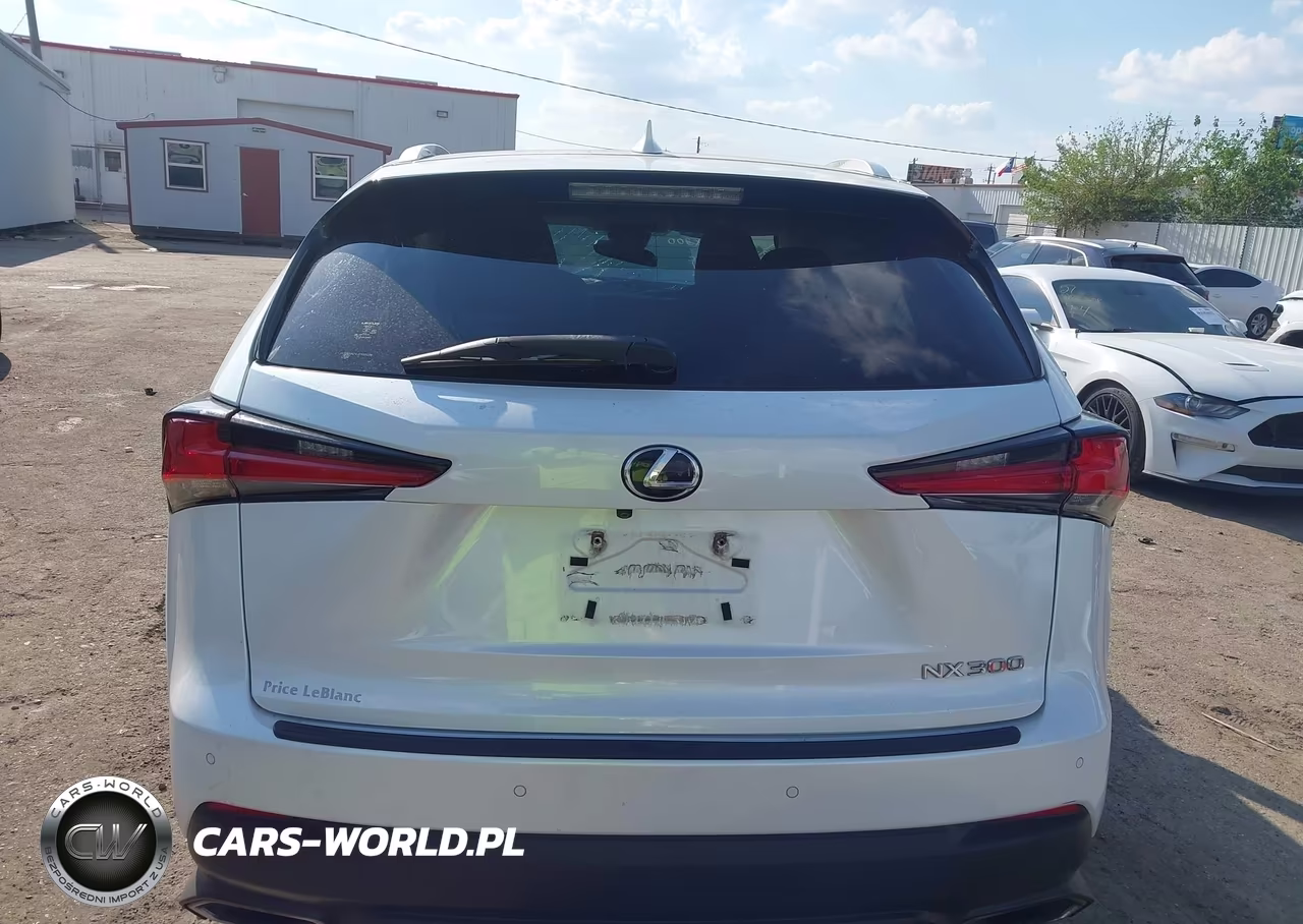 2018 Lexus Nx 300 VIN:JTJYARBZ4J2102226 - 16