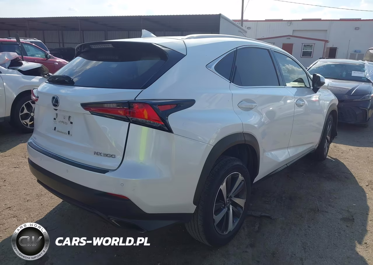 2018 Lexus Nx 300 VIN:JTJYARBZ4J2102226 - 4